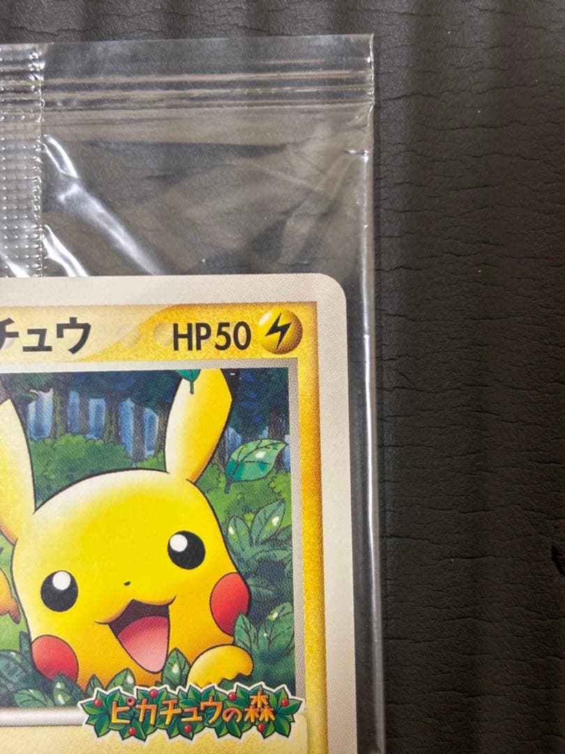 ポケパークのピカチュウ　未開封　プロモ ポケモンカード　ポケパーク　ピカチュウ
