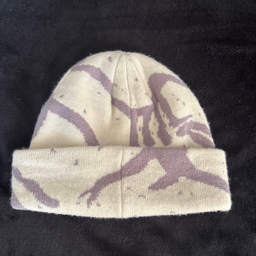 ARC'TERYX FERNIE TOQUE ベージュ/パープル