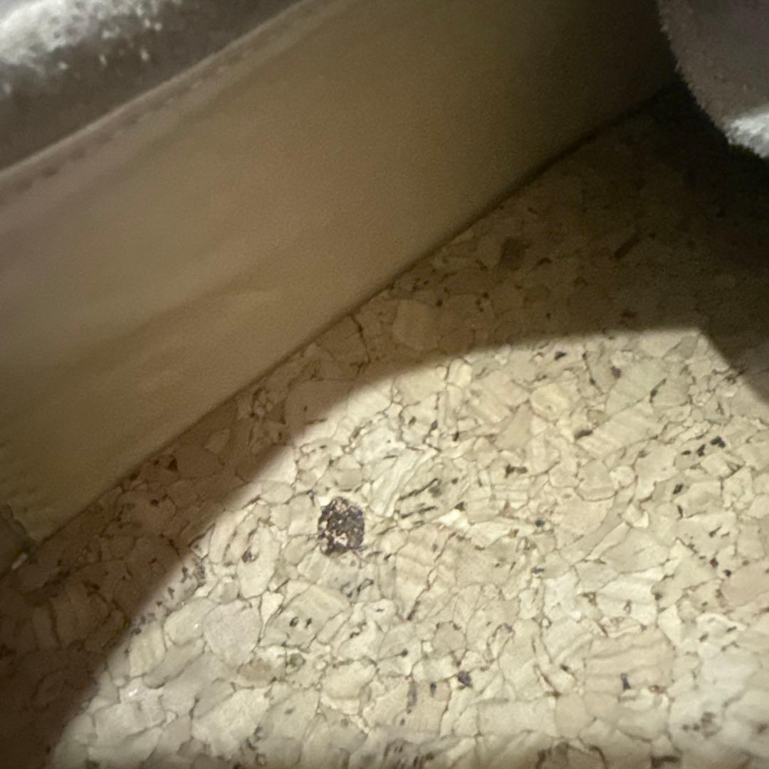 pg knock ベージュ スエード モカシン ダイヤル式　playground