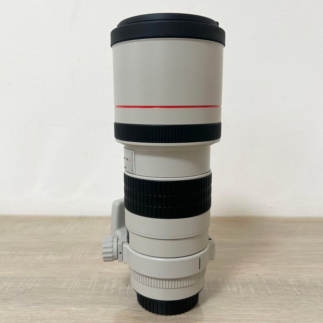 Canon キャノン LENS EF 300mm 1:4 L 望遠レンズ