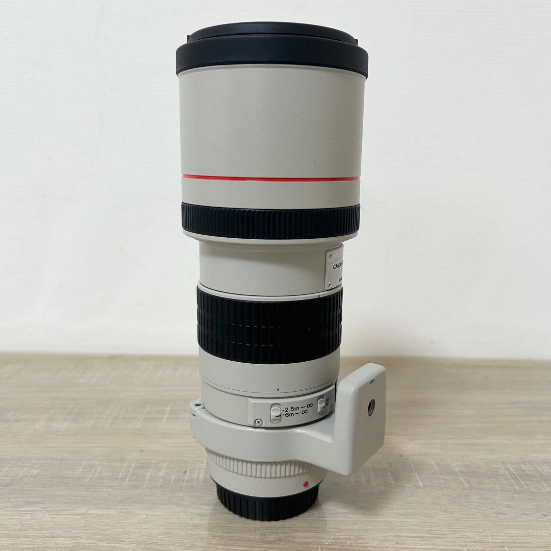 Canon キャノン LENS EF 300mm 1:4 L 望遠レンズ
