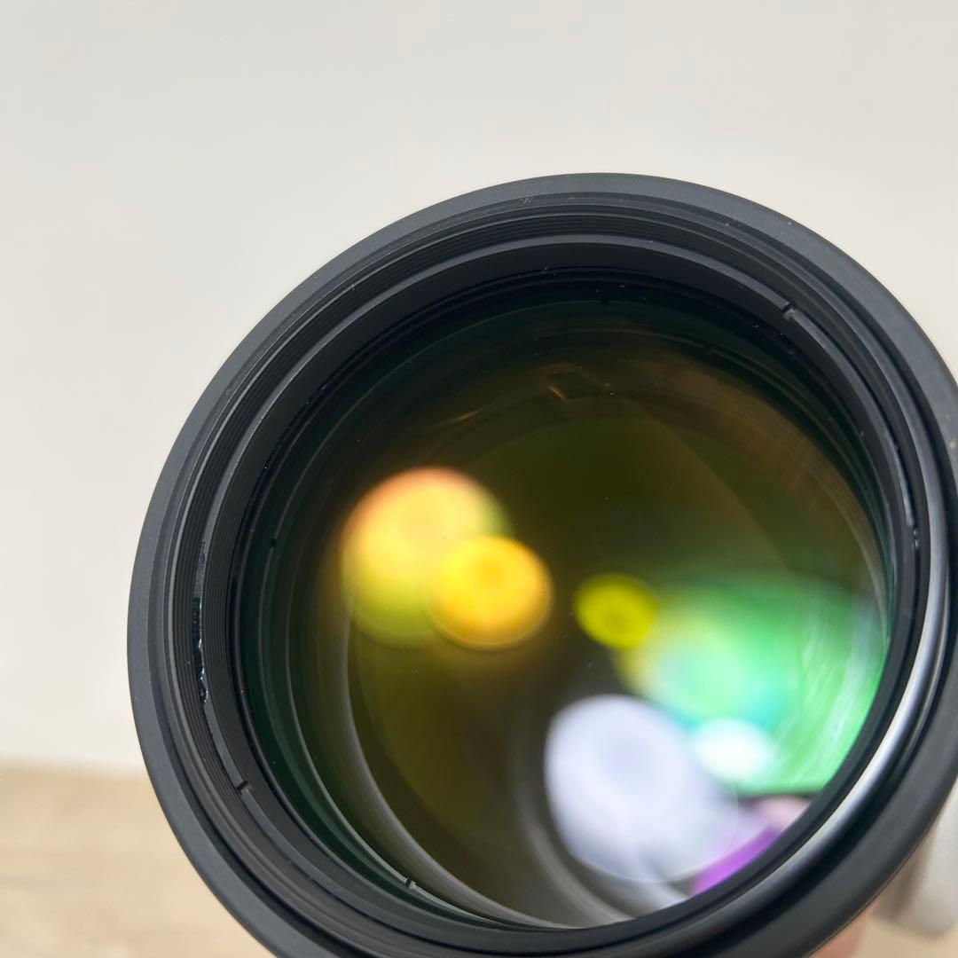 Canon キャノン LENS EF 300mm 1:4 L 望遠レンズ