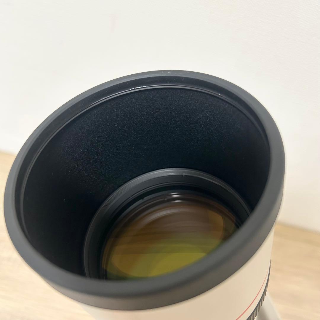 Canon キャノン LENS EF 300mm 1:4 L 望遠レンズ