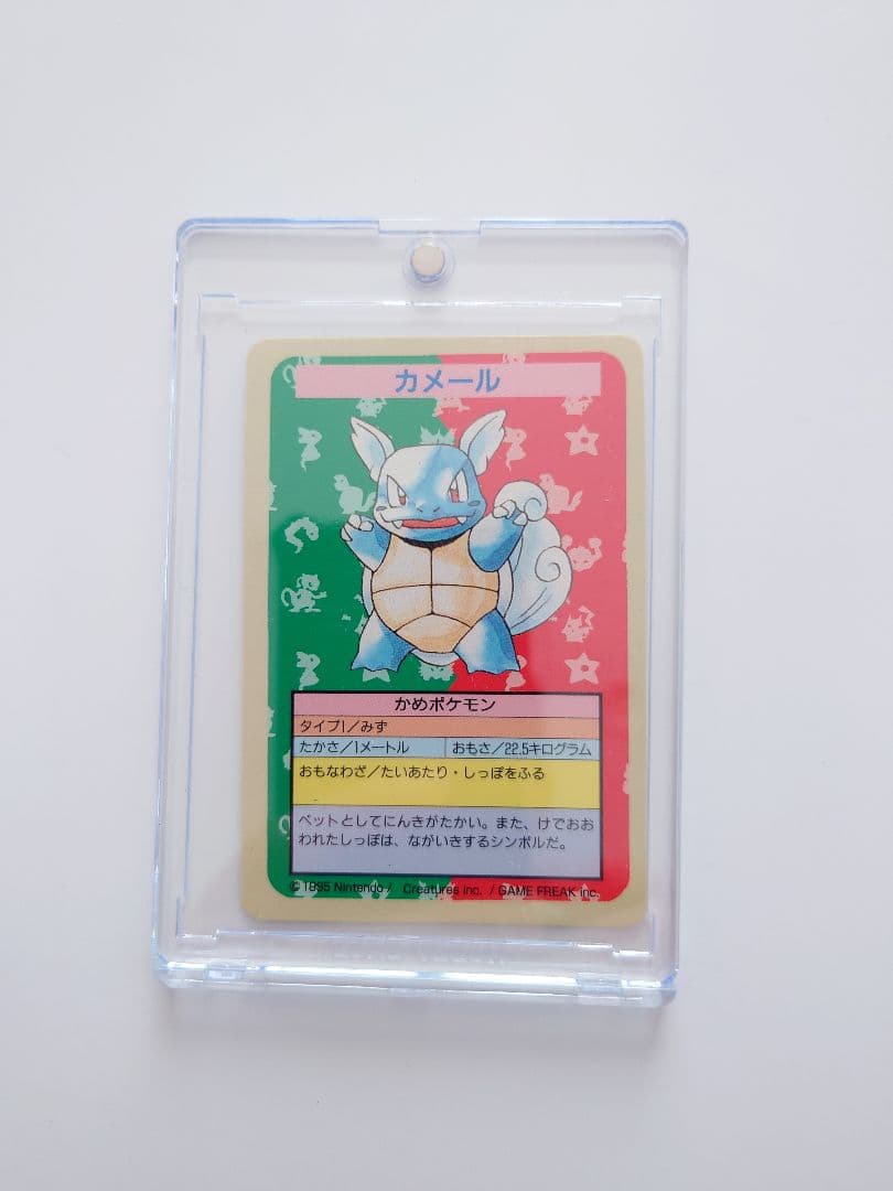 ポケモンカード　トップサン　カメール　番号なし　裏青