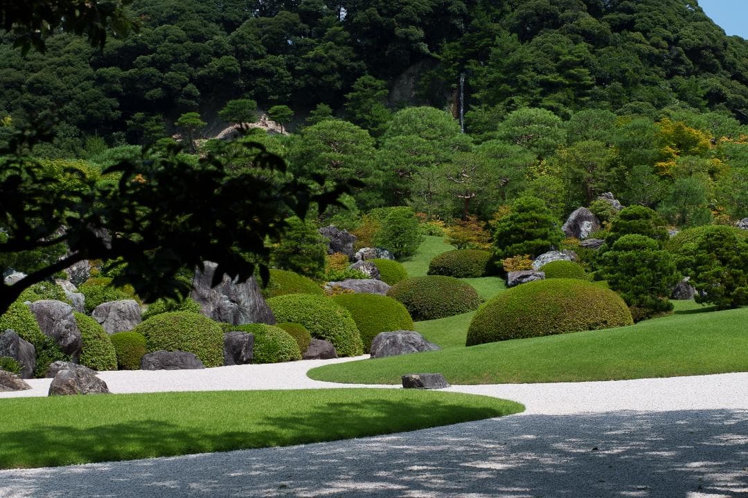 おおにし様　最初期モデル！標準の帝王 Planar 50mm F1.4 AEJ