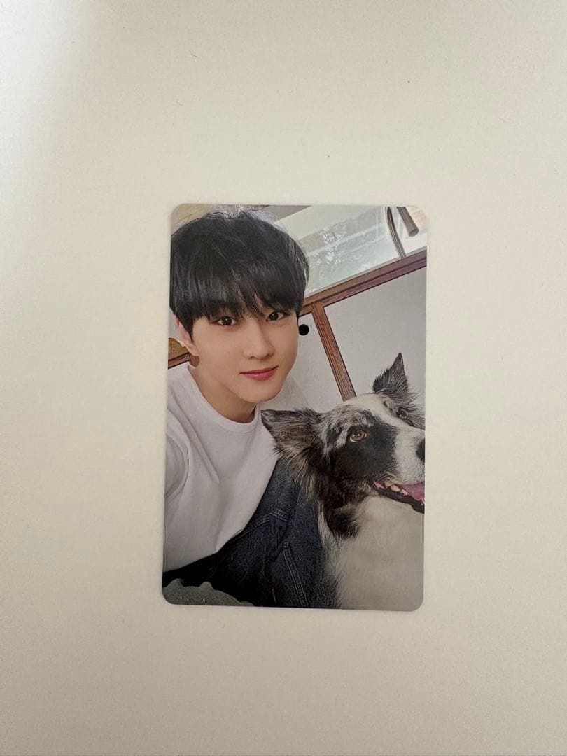 ENHYPEN 2025会報 アンケート 限定 トレカ ジョンウォン