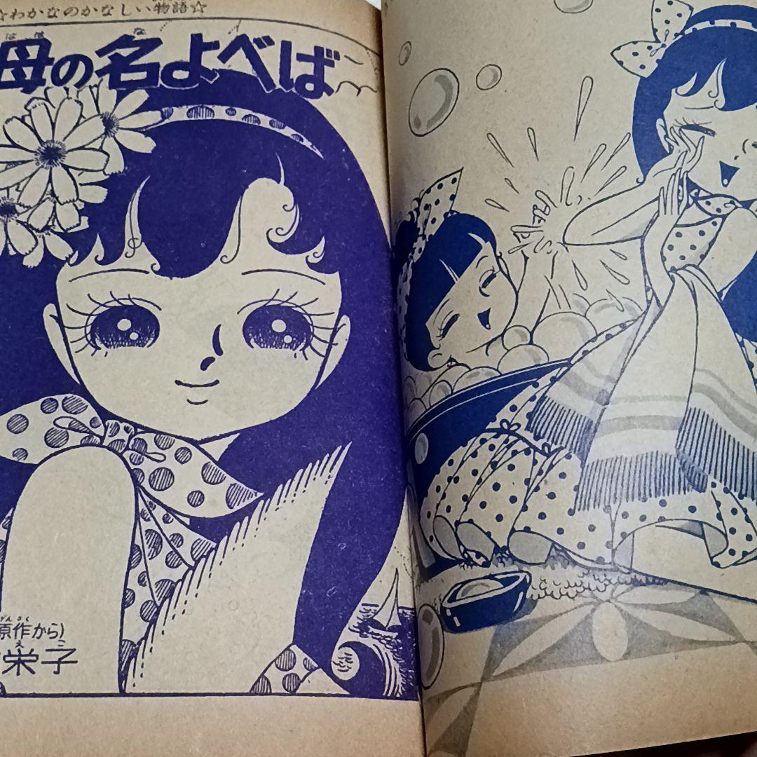 【専用】 細川智栄子 細川知栄子