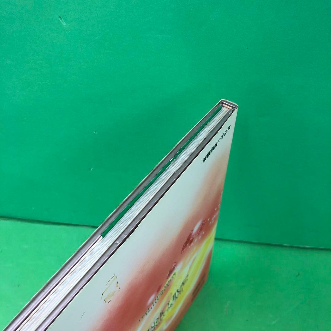 D3184 美少女戦士セーラームーン原画集 vol.1.2 初版