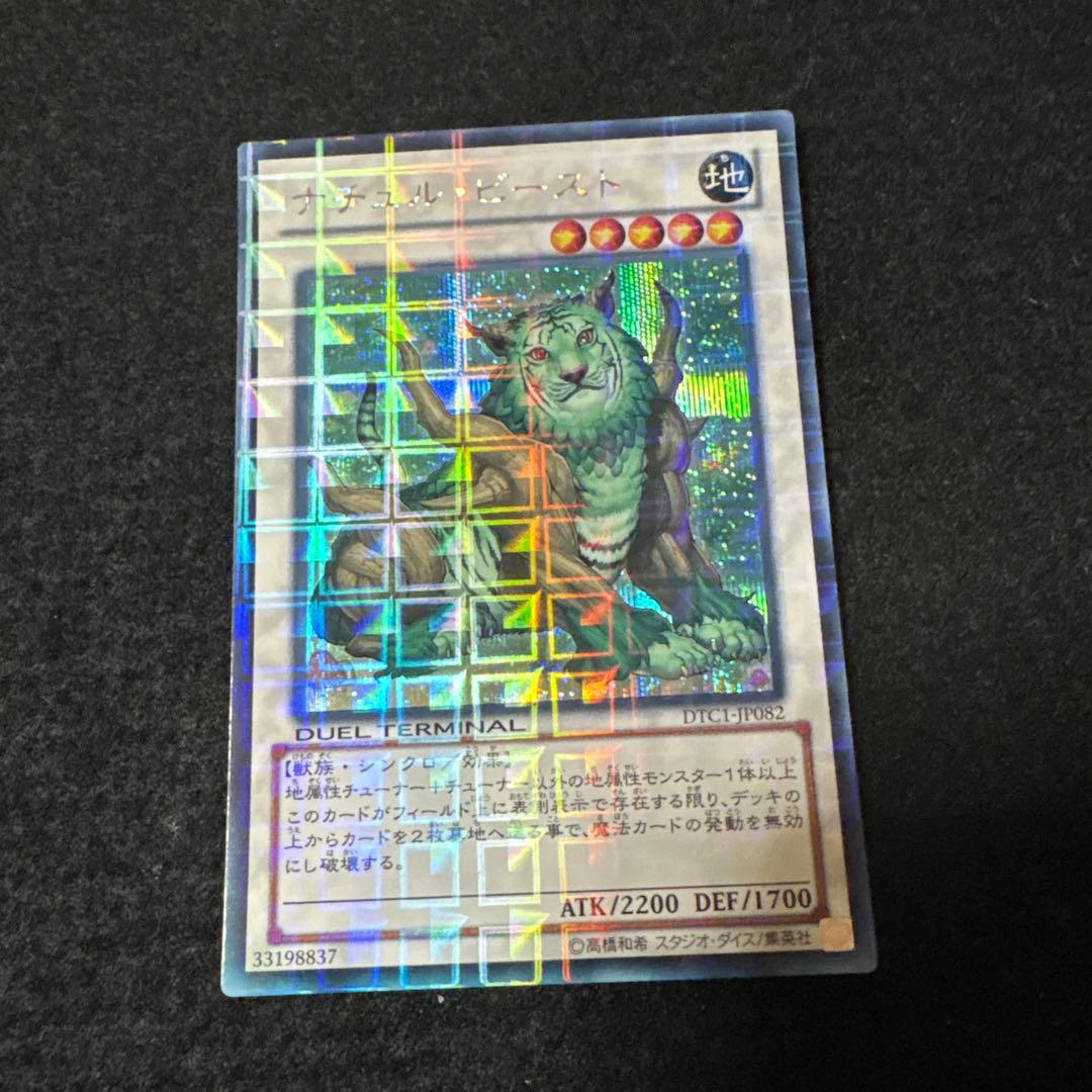 ナチュルビースト DTCシク