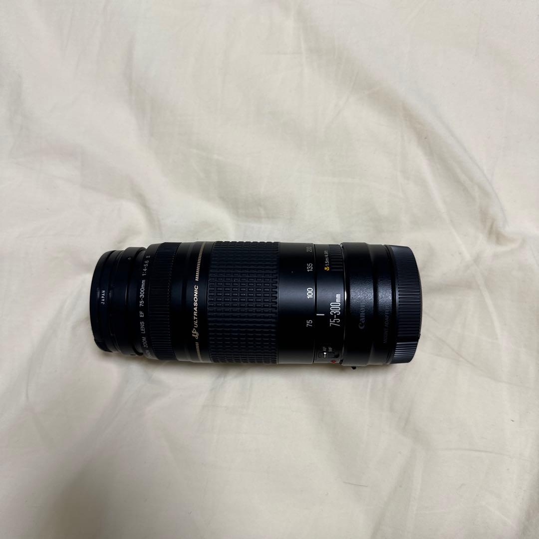 美品 300mm超望遠レンズ CANON EF 75-300mm