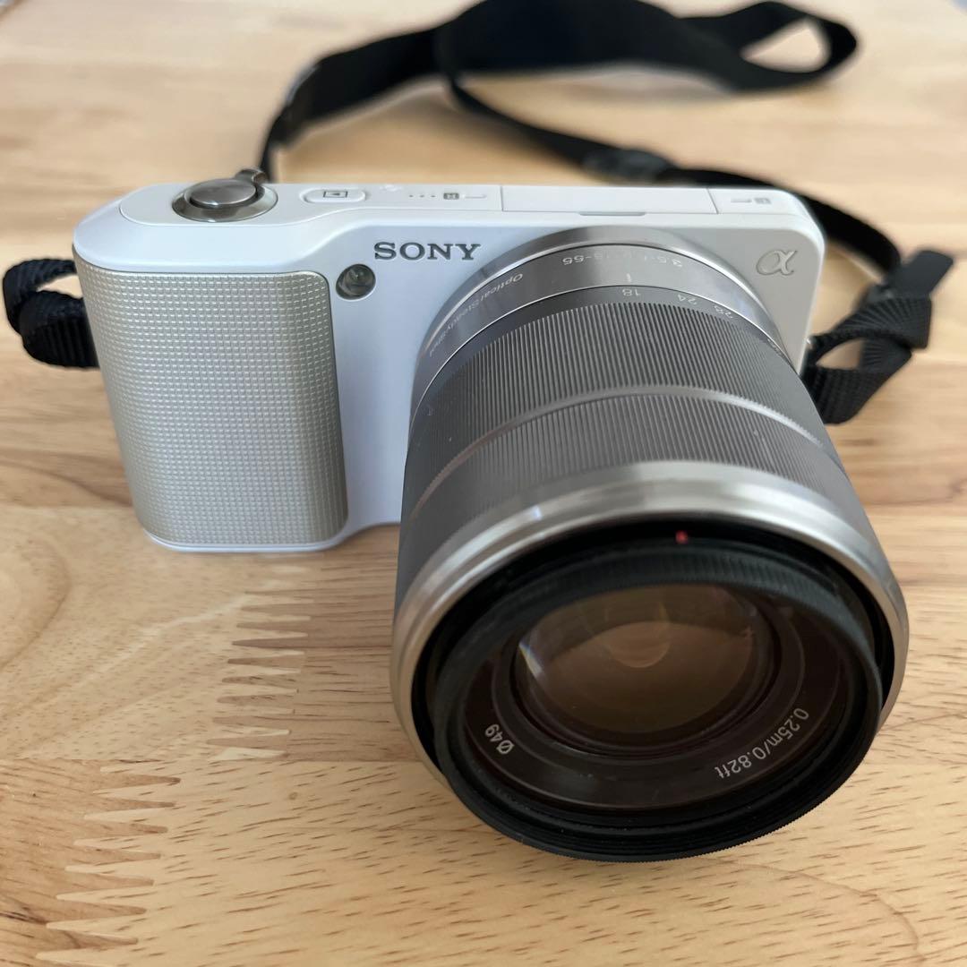 【ピンクの猫】SONY NEX-3 18-55mm F3.5-5.6