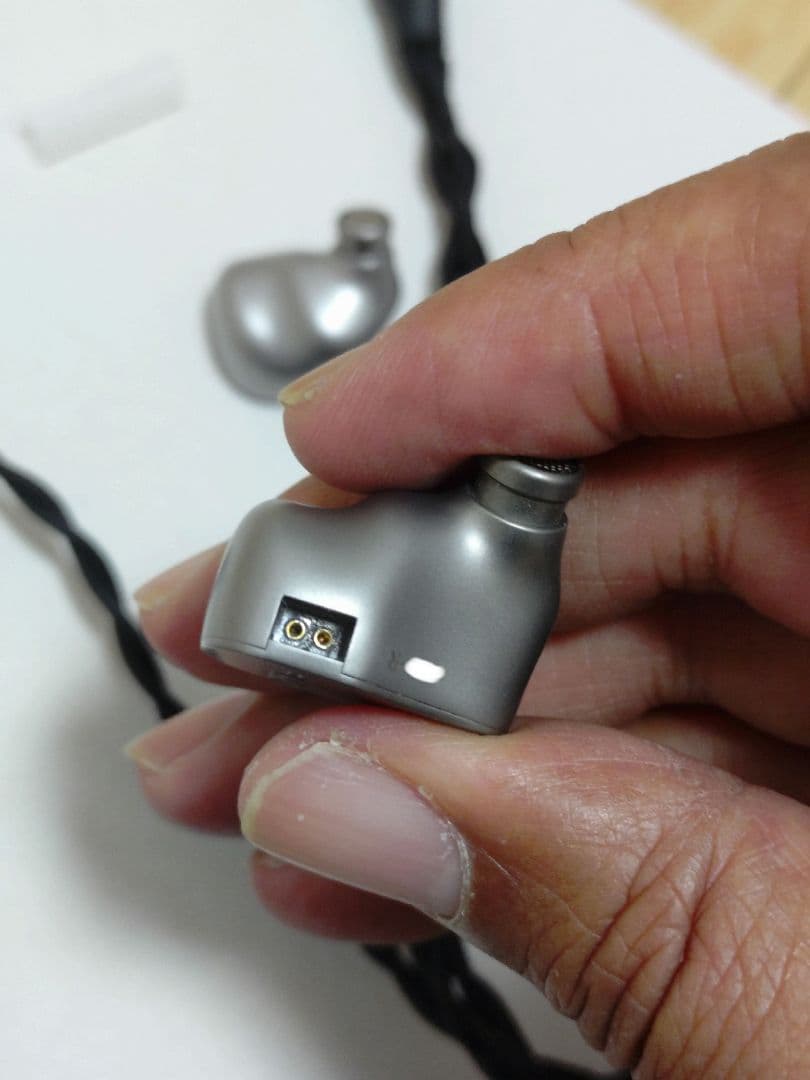 Oriolus Traillii Ti イヤホン