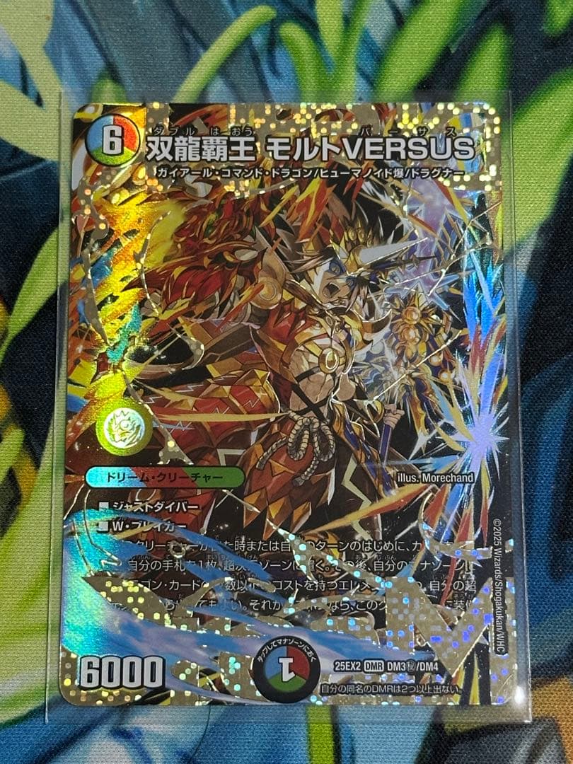 双龍覇王モルトVERSUS シークレット