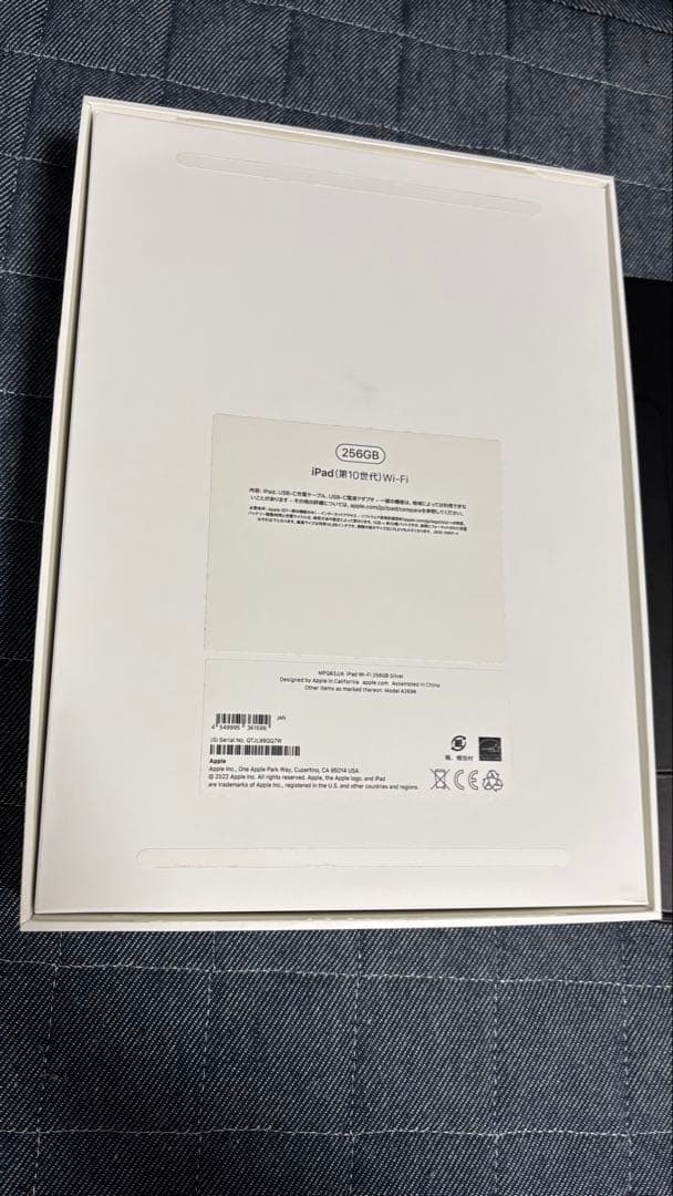【美品 】iPad 第10世代 256GB ＋オプション