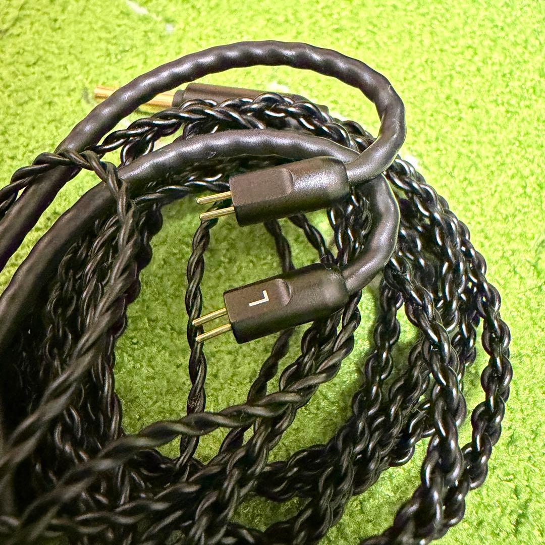 酒*t様 【使用少・美品】VISION EARS VE8 (Universal