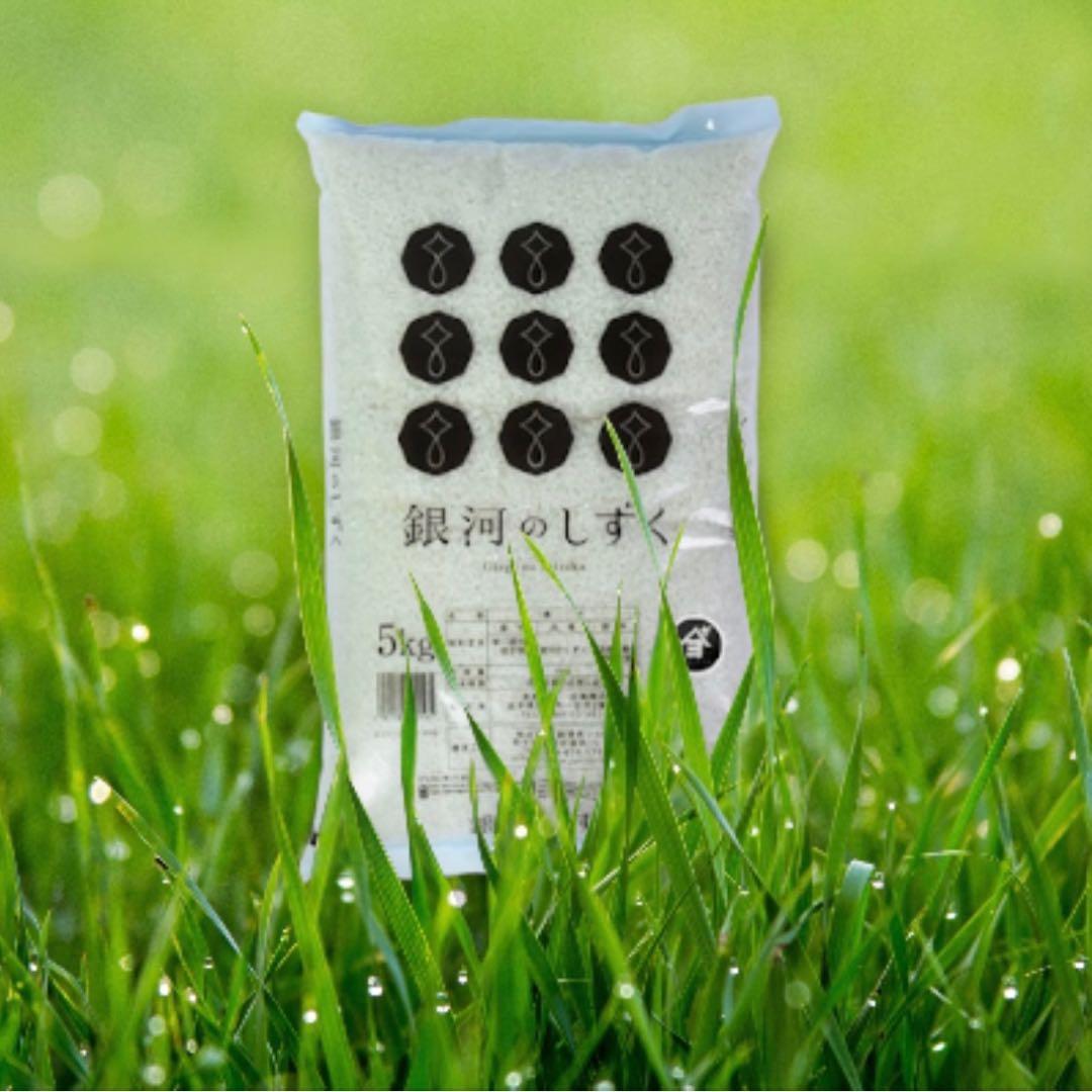 米　白米【岩手県産銀河のしずく20kg】 (5kg×4) 7年連続特A評価！