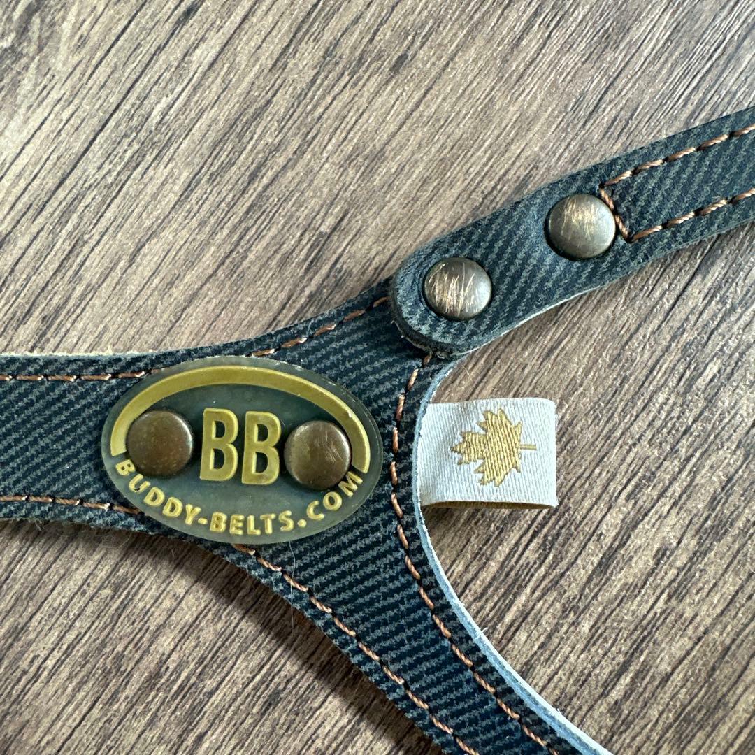 バディベルト　 BB ブルージーン　 4号 クリスタル付き アクセントリード