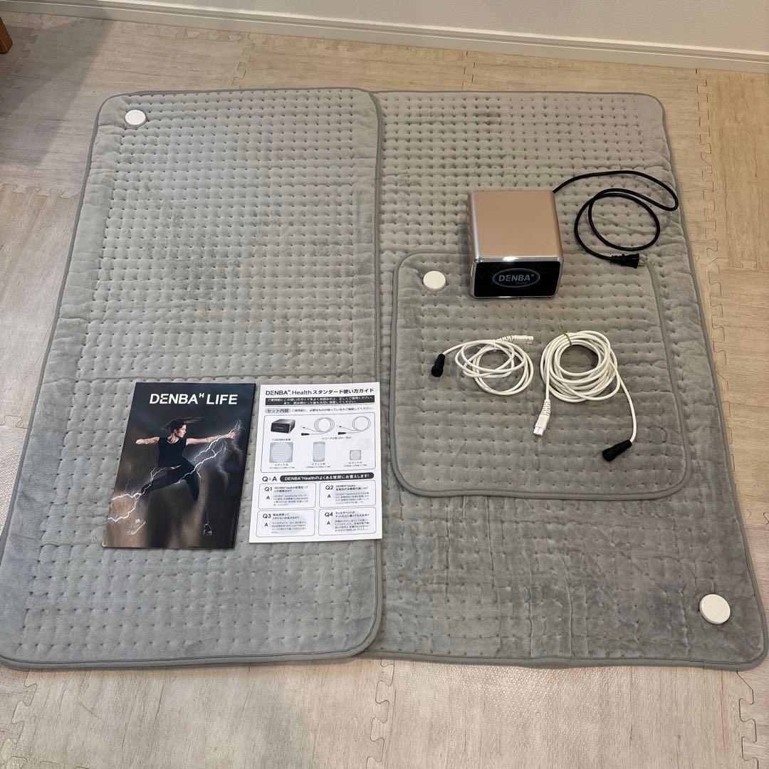 専用　DENBA Health スタンダードタイプ