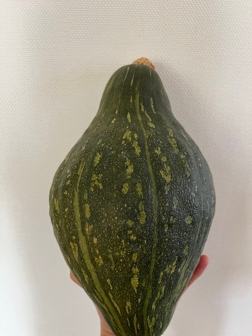 独特な形状の緑色のかぼちゃ箱詰め