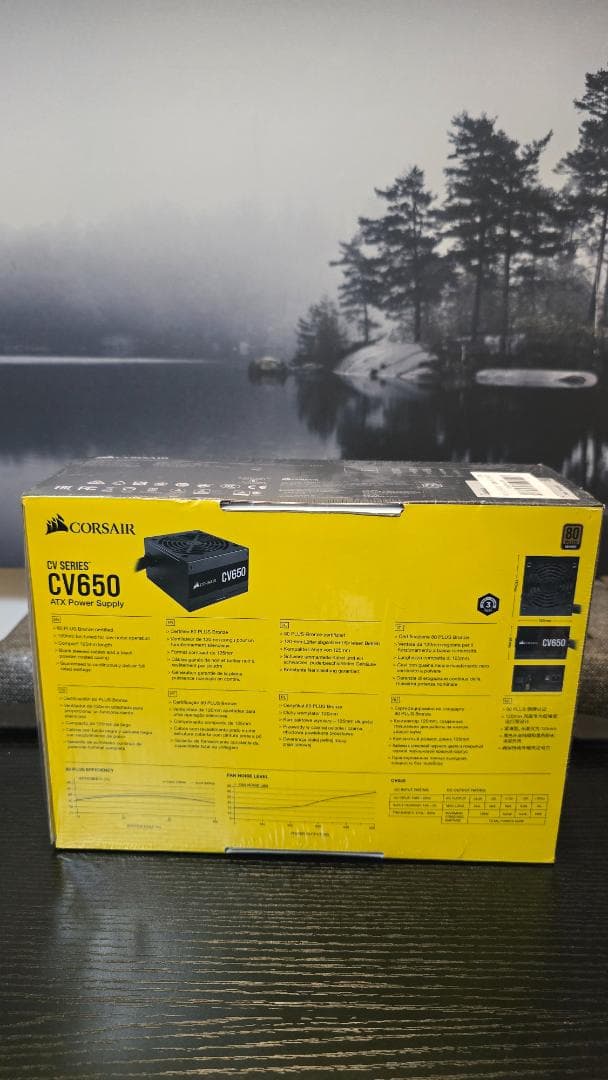 CORSAIR CX650[新品●未開封]
