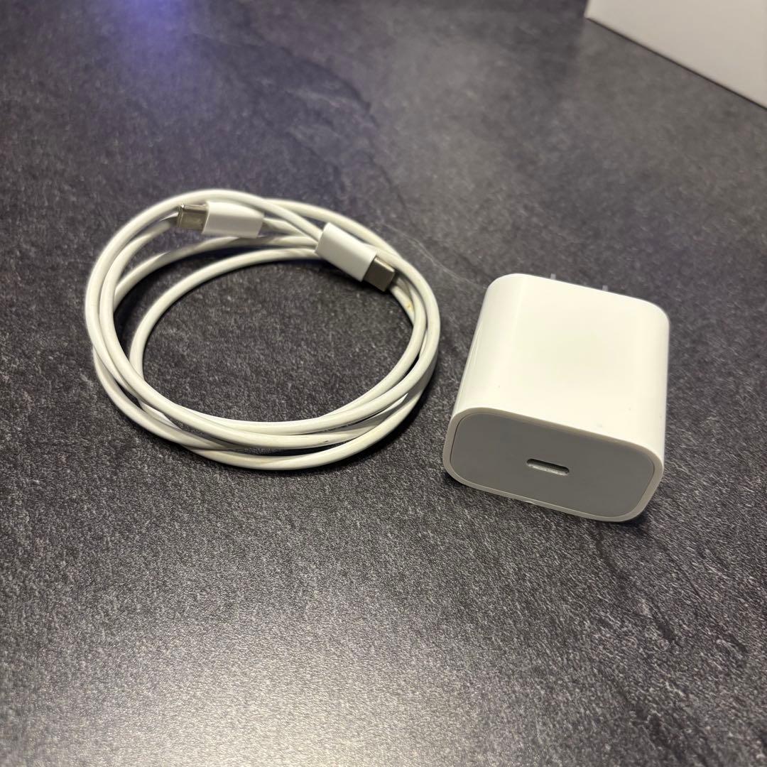 Pencil 2付属iPad Air (第4世代) Wi-Fiモデル 64GB