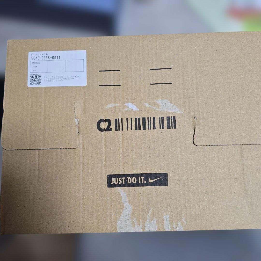 ちーこNike Air Jordan1　つま黒