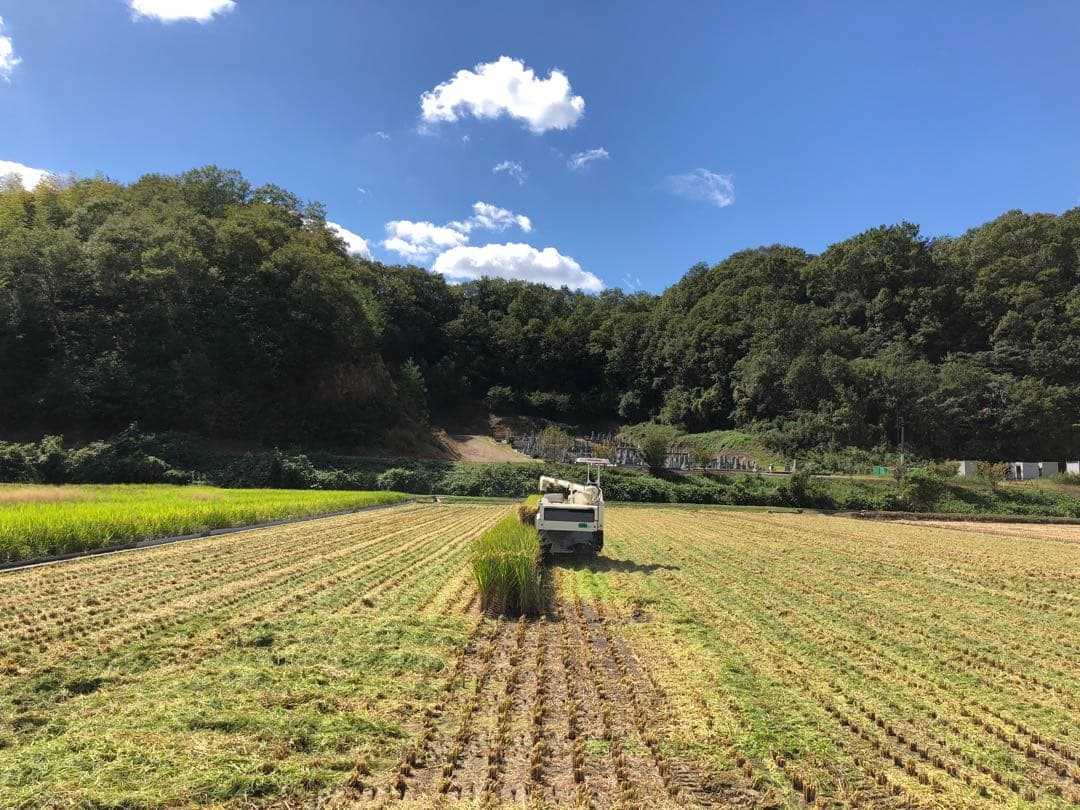 農家直送の美味しいお米 令和7年度産 ヒノヒカリ 15キロ