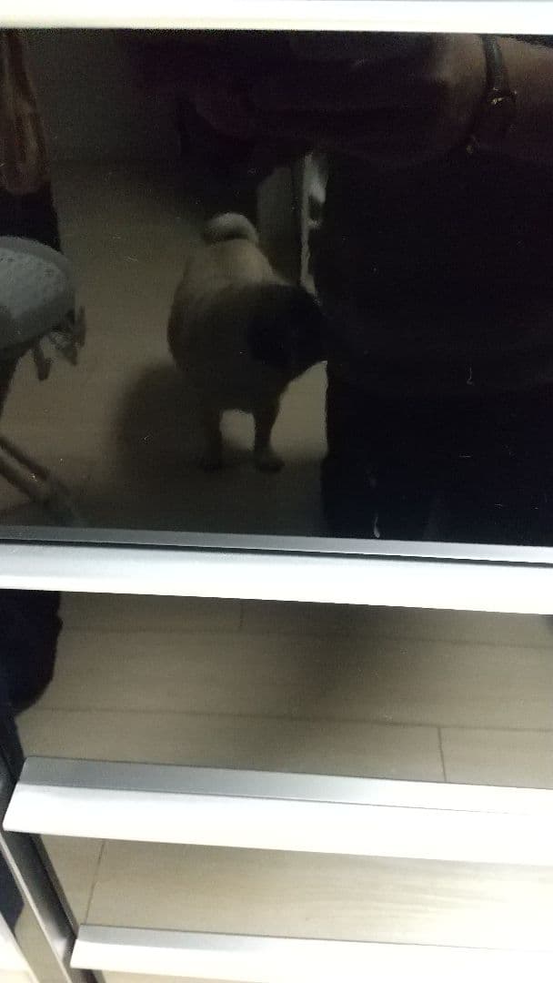 ☆あり☆ チェスト