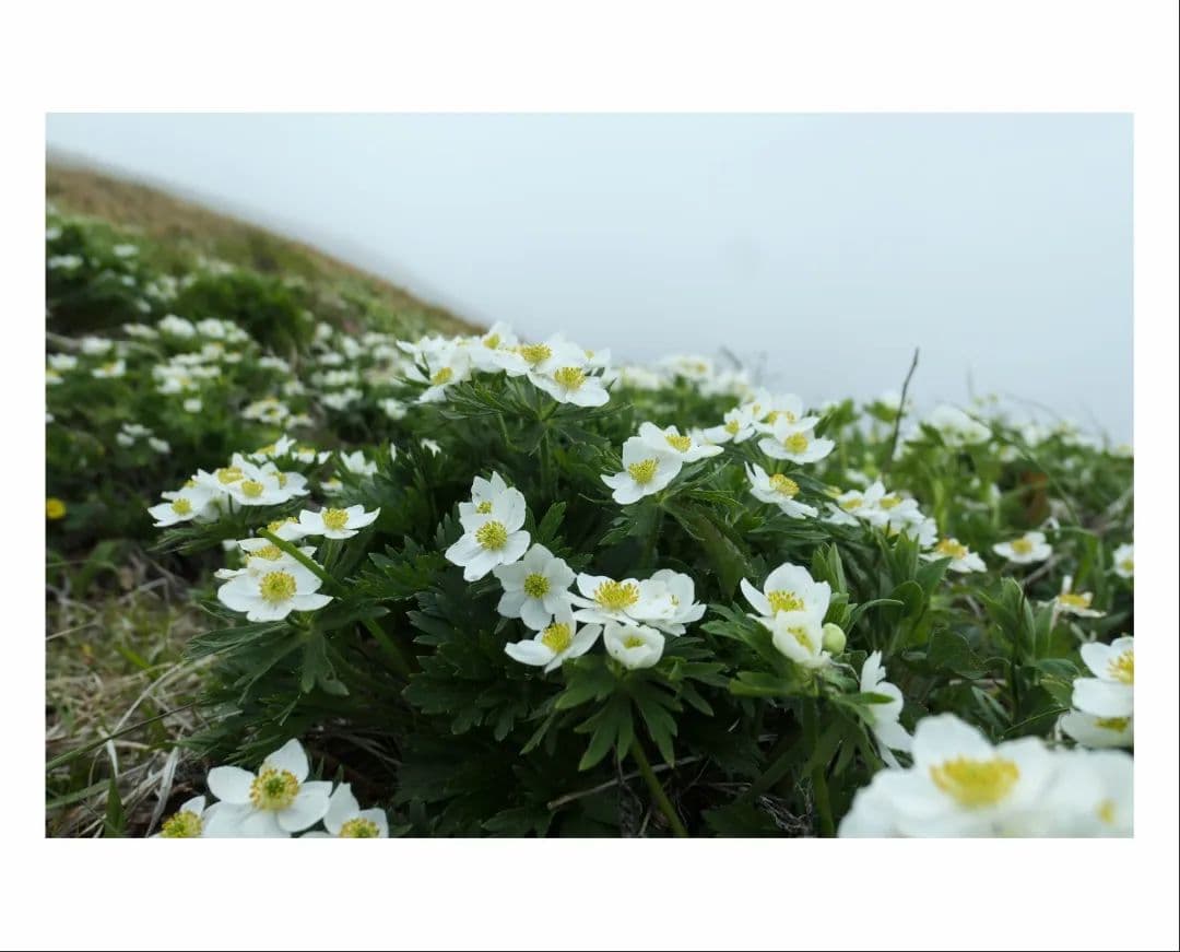 Panasonic LUMIX DMC-LX9 コンパクトデジタルカメラ