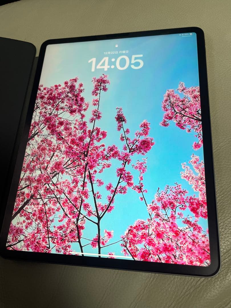 iPad Pro 12.9第4世代512GB Wi-Fi2020年モデル動作良好