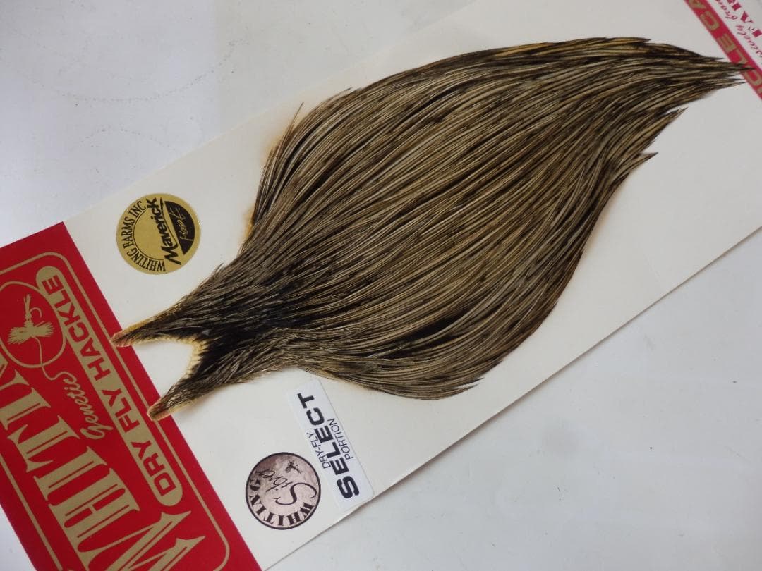 WHITING Silver ハックルケープ Golden Badger