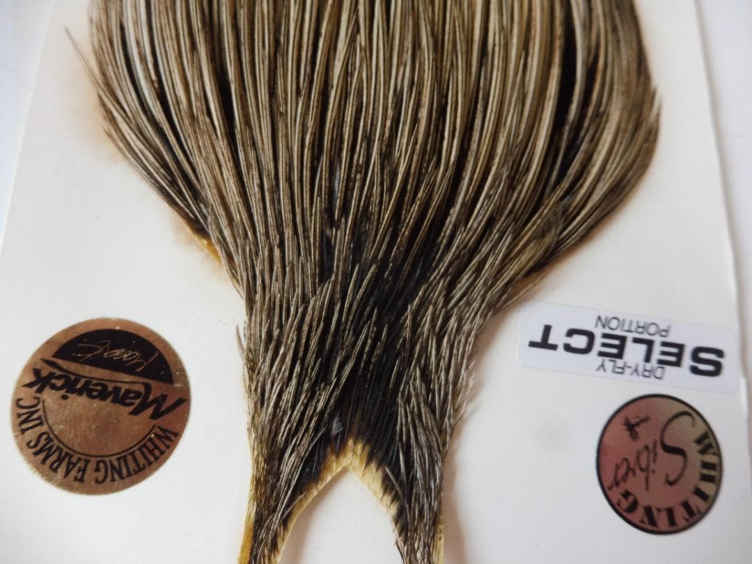 WHITING Silver ハックルケープ Golden Badger