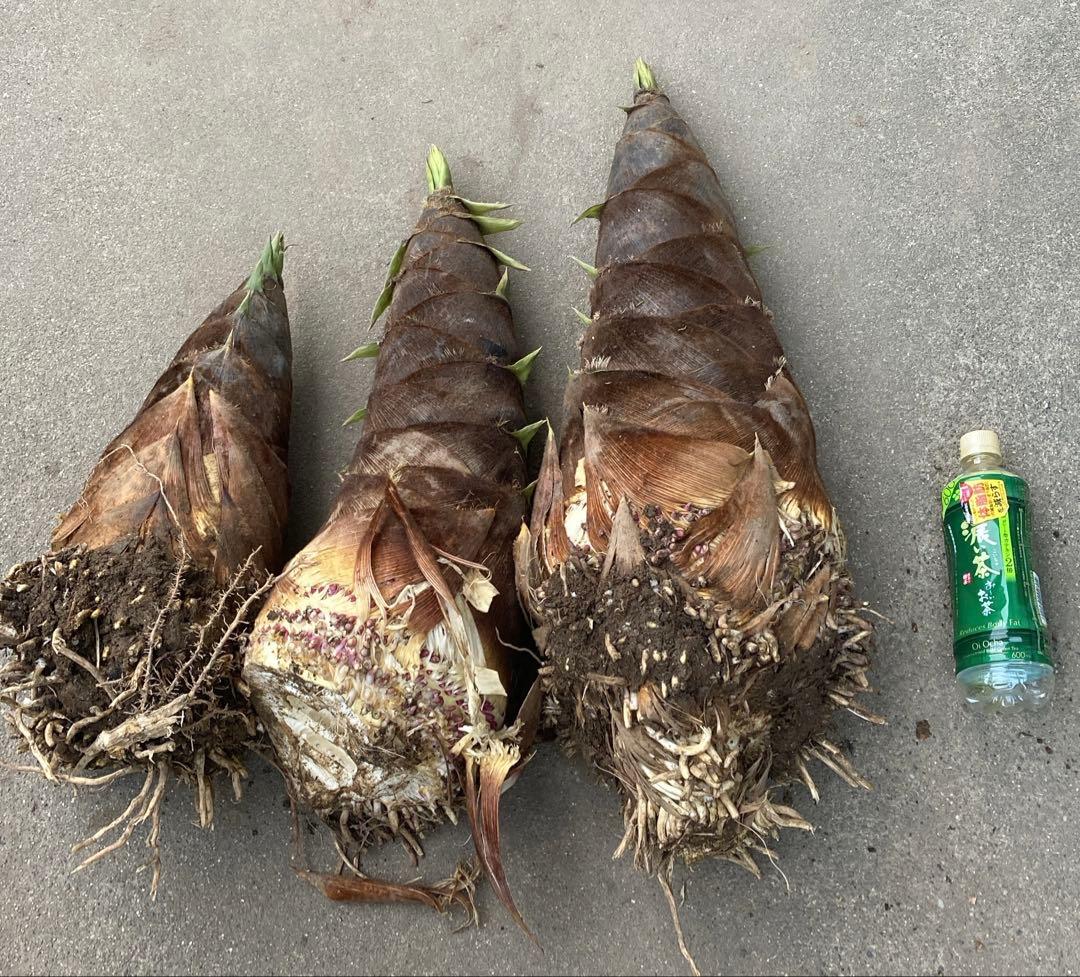 残り3個　訳あり　丸干し芋 生産農家だからできると〜てもお得‼️ な大箱売11kg