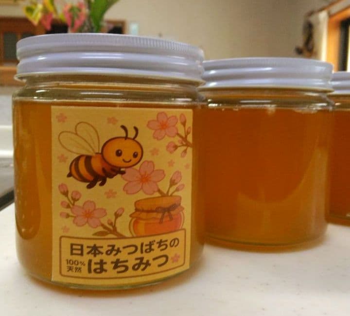 日本ミツバチ　2年蜜　天然蜂蜜（百花蜜)　　　　正味550g　2個入　1100g