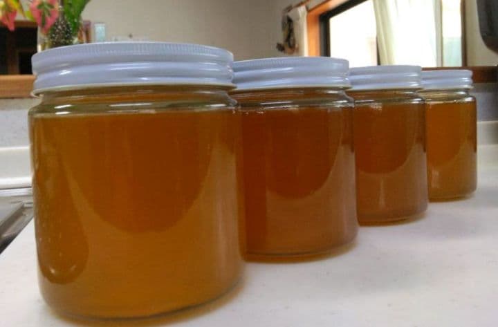 日本ミツバチ　2年蜜　天然蜂蜜（百花蜜)　　　　正味550g　2個入　1100g