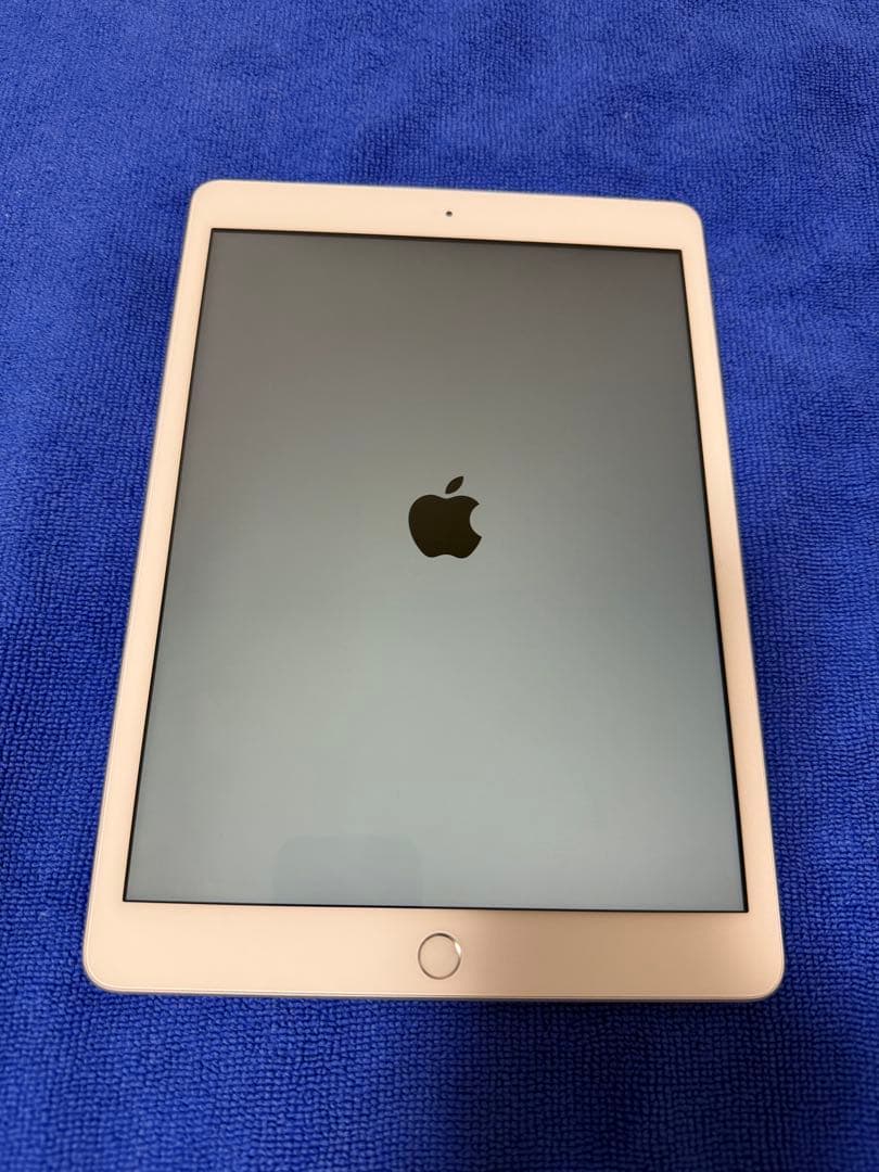 iPad (第8世代) Wi-Fi+Cellular SIMフリー 【ジャンク】