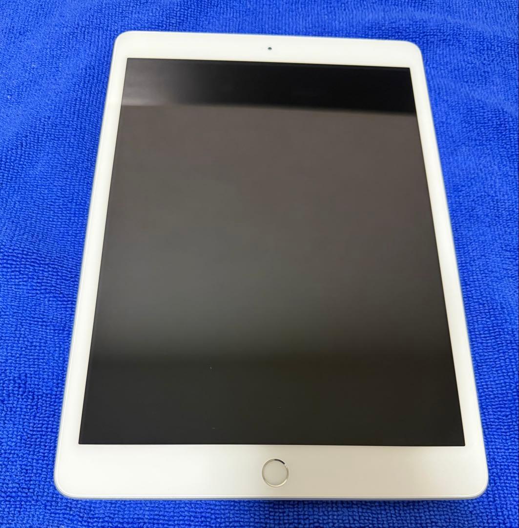 iPad (第8世代) Wi-Fi+Cellular SIMフリー 【ジャンク】