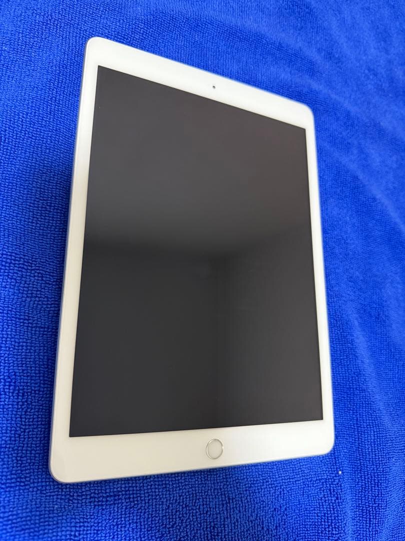 iPad (第8世代) Wi-Fi+Cellular SIMフリー 【ジャンク】