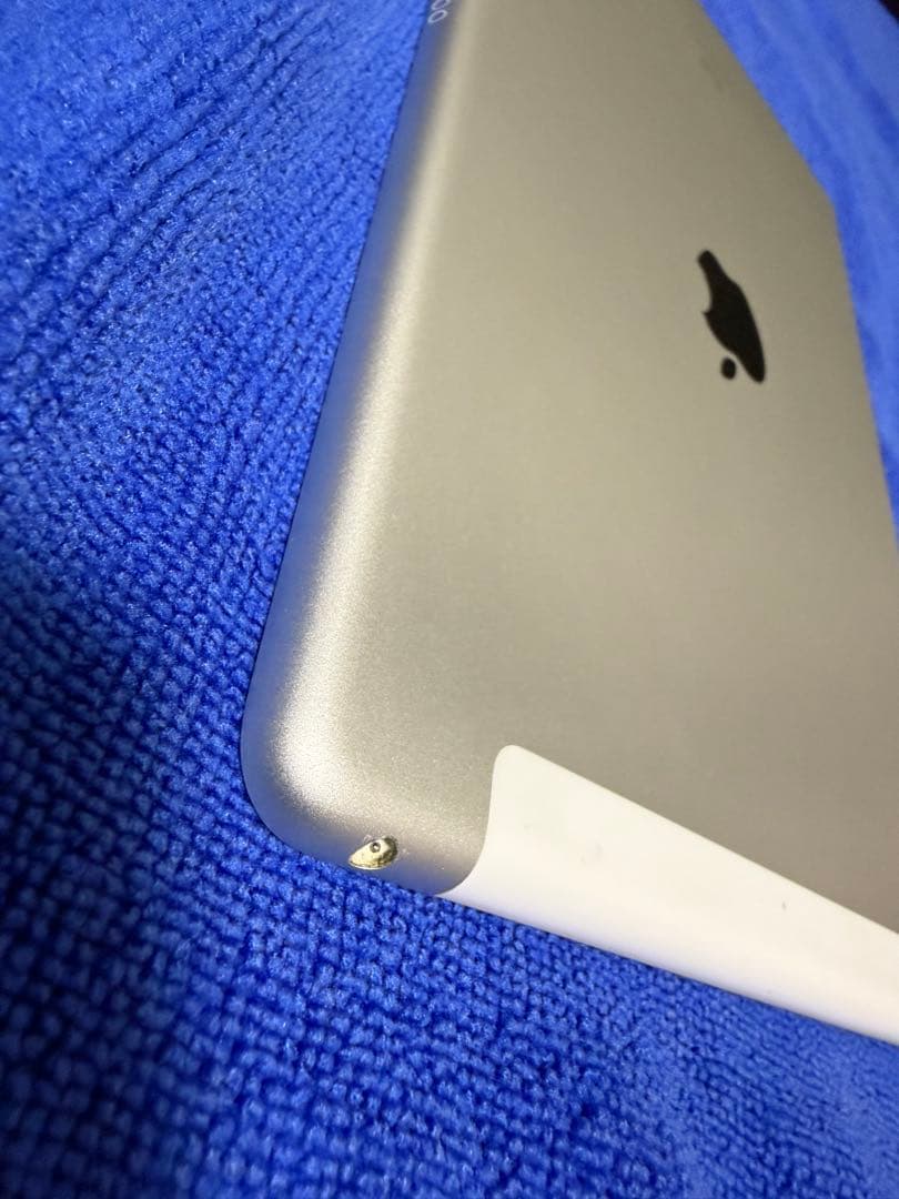 iPad (第8世代) Wi-Fi+Cellular SIMフリー 【ジャンク】