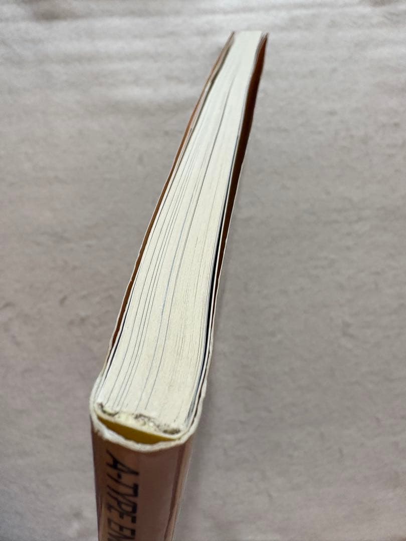 M6☆A型サニー オーナーズバイブル スタジオタッククリエイティブ☆