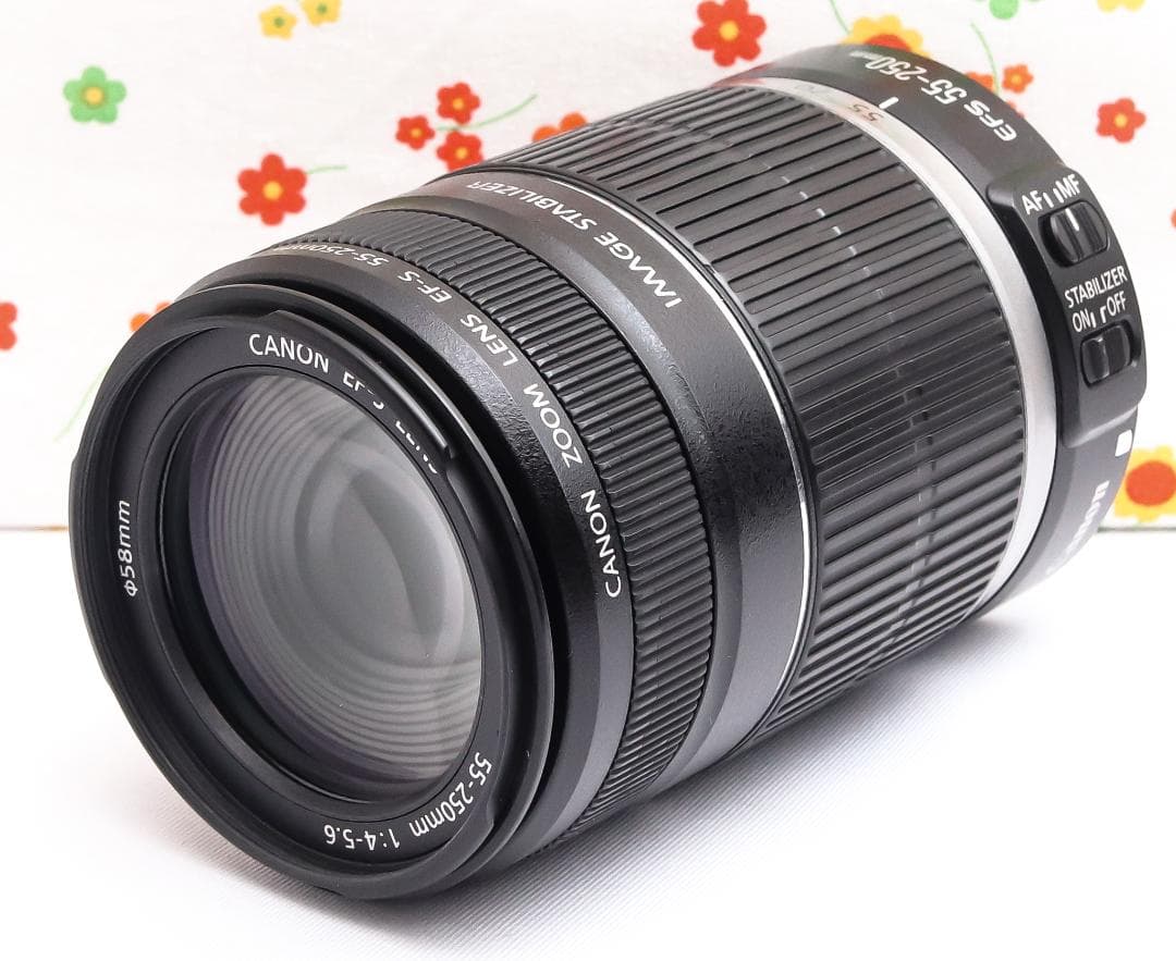 Canon EF-S 55-250mm IS☆遠くもくっきり残せる望遠レンズ