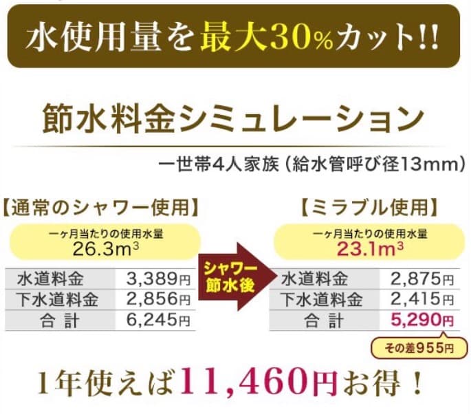 正規品‼️数量限定‼️ サイエンス ミラブルシャワーヘッド 保証書あり