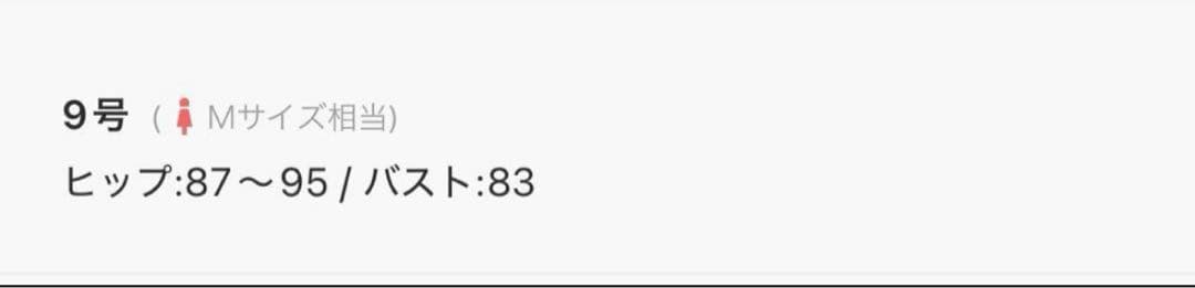 三愛水着楽園　ノンワイヤービキニ　9M