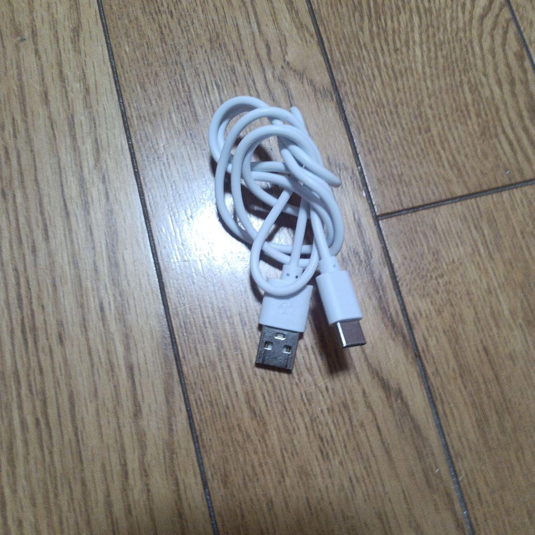 Ruby-Cell 美顔器 スプレー機能付き