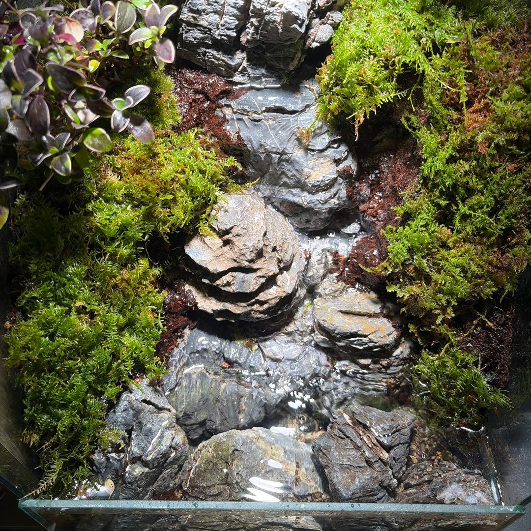【受注生産】大きな滝のアクアテラリウム