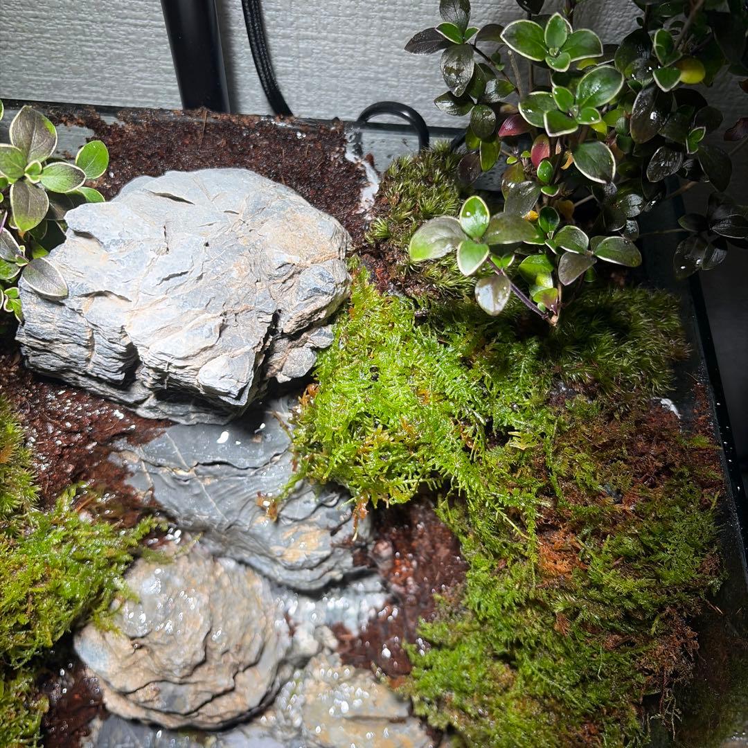 【受注生産】大きな滝のアクアテラリウム