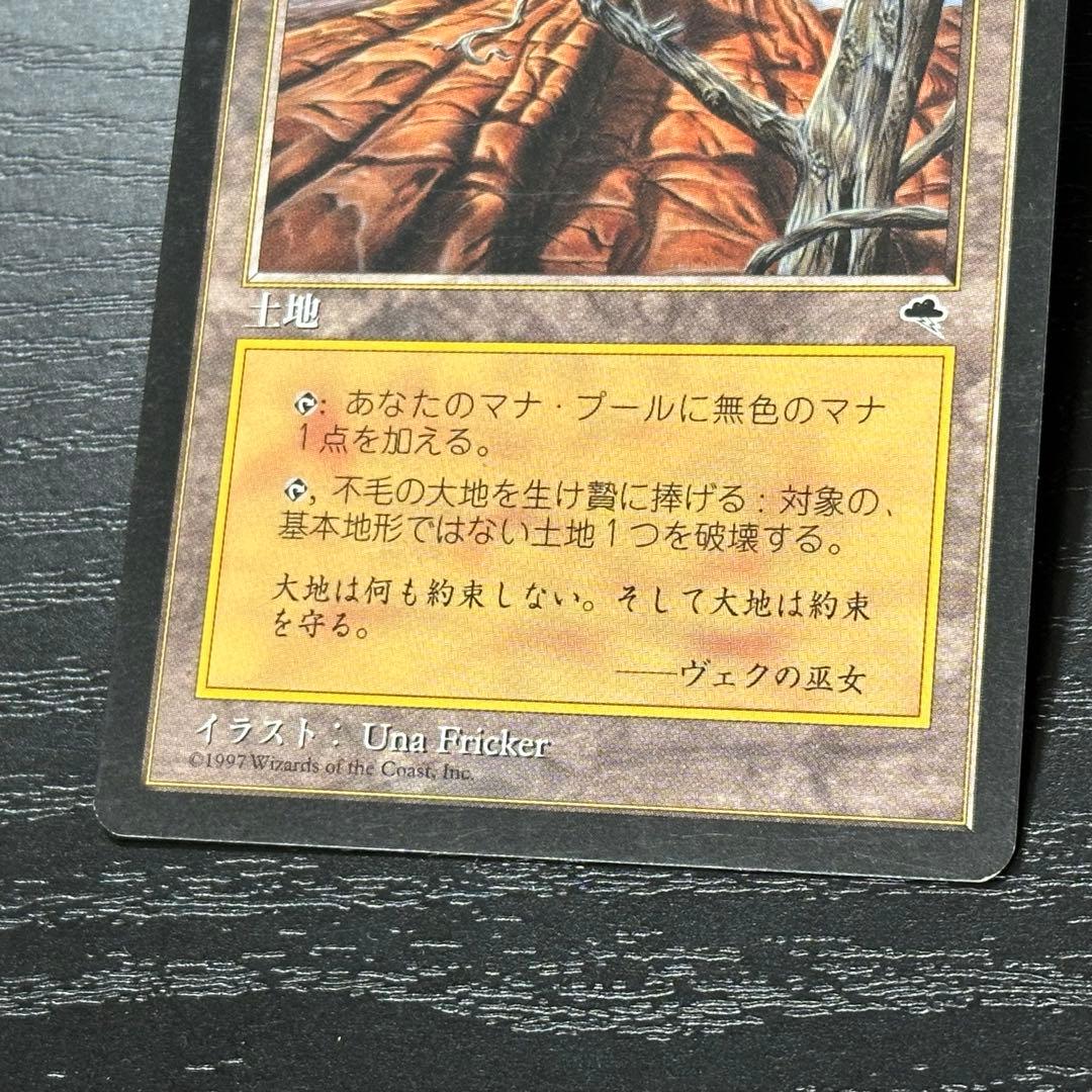 MTG 不毛の大地 日本語 初版 3枚