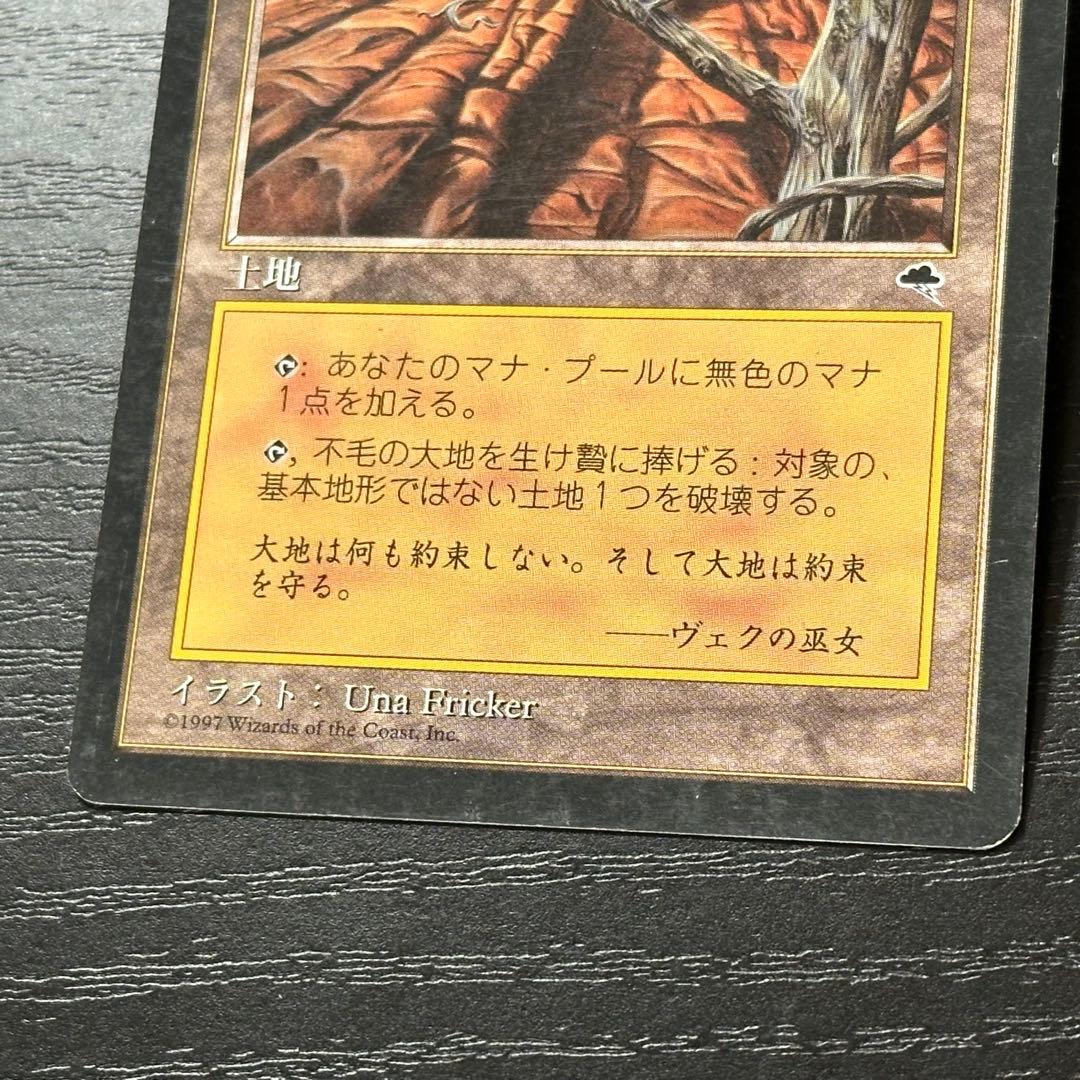 MTG 不毛の大地 日本語 初版 3枚