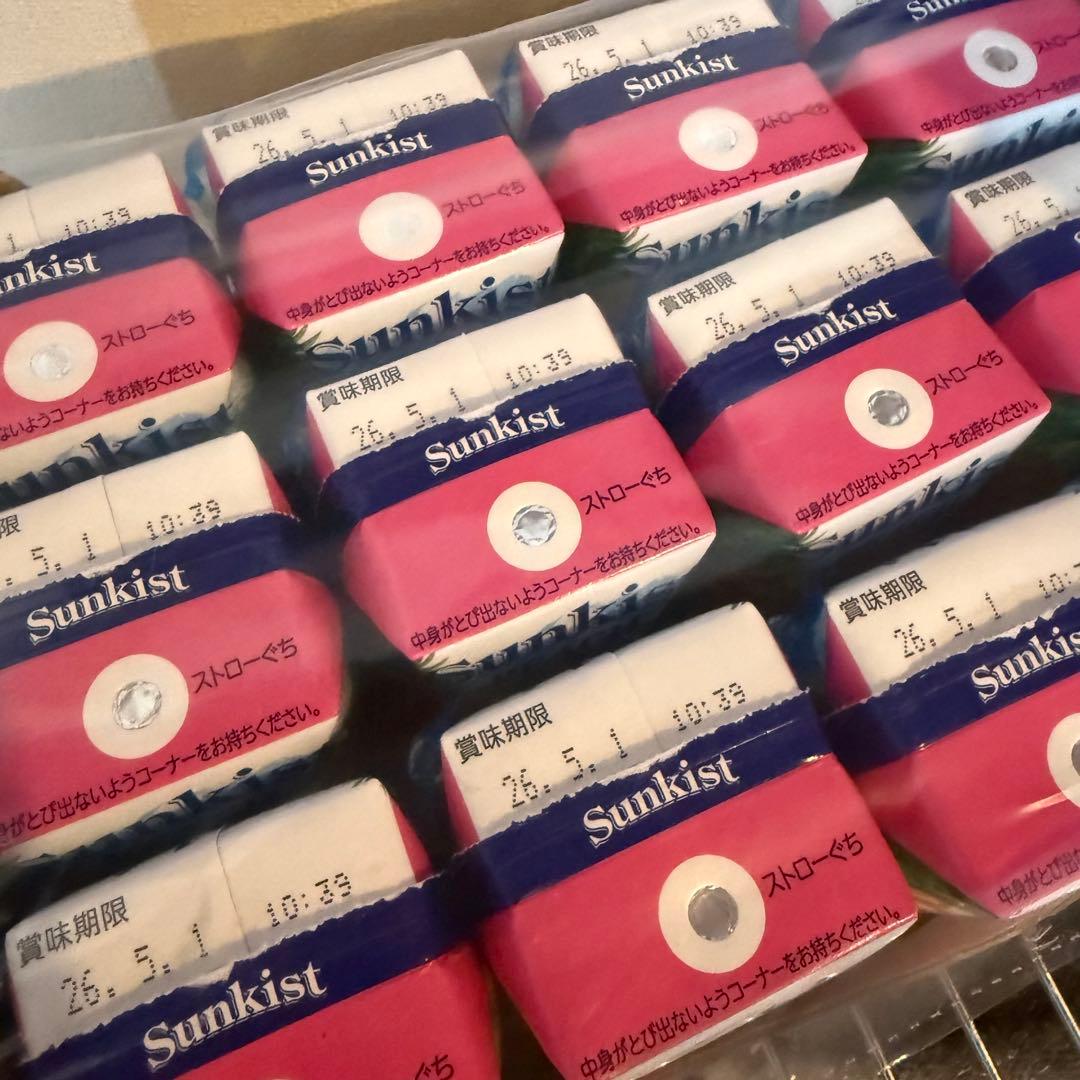 紙パック飲料　まとめ売り　7ケース　81本セット