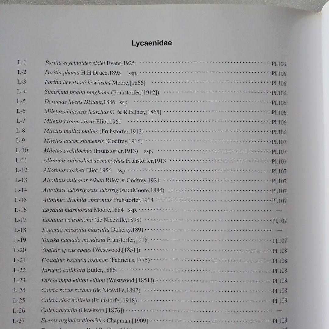 蝶の本　ラオス蝶類図譜